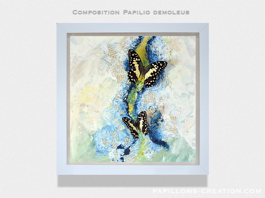 Composition Papilio demoleus